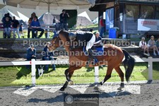 ref. photo 3563364