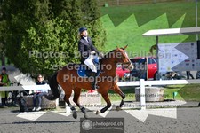 ref. photo 3563377