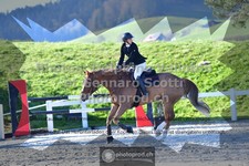 ref. photo 3563399
