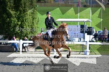 ref. photo 3563404
