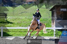 ref. photo 3563407