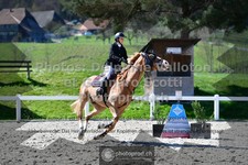 ref. photo 3563408