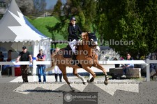 ref. photo 3563413