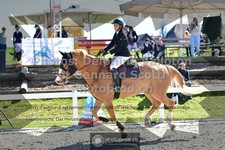 ref. photo 3563415