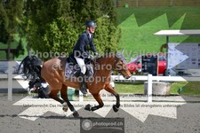 ref. photo 3563426