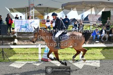 ref. photo 3563431