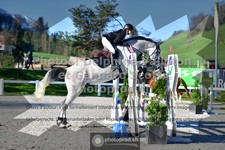 ref. photo 3563432