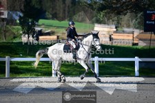 ref. photo 3563434
