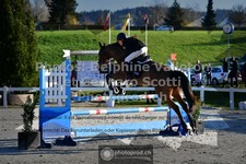 ref. photo 3563449
