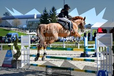 ref. photo 3563462