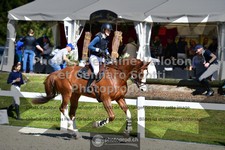 ref. photo 3563494
