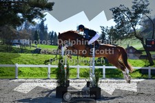 ref. photo 3563499