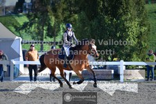 ref. photo 3563507