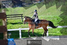 ref. photo 3563513