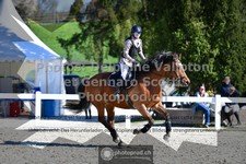 ref. photo 3563519