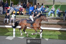 ref. photo 3563550