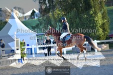 ref. photo 3563600