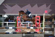 ref. photo 3563622