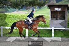 ref. photo 3563630