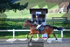 ref. photo 3563640