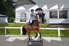 ref. photo 3563670