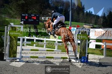 ref. photo 3563732
