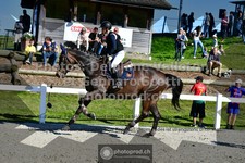 ref. photo 3563771