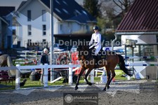 ref. photo 3563780