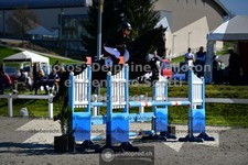 ref. photo 3563849