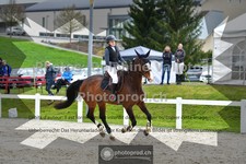 ref. photo 3563886