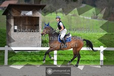 ref. photo 3563911