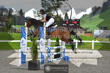ref. photo 3563914