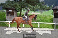ref. photo 3563954