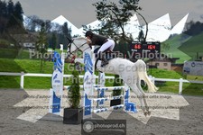 ref. photo 3563957