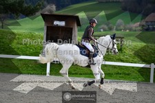 ref. photo 3563964