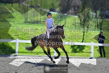 ref. photo 3564019
