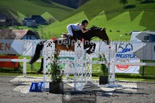 ref. photo 3564021
