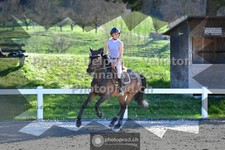 ref. photo 3564026