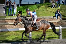 ref. photo 3564035