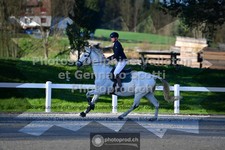 ref. photo 3564038