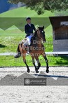 ref. photo 3564047