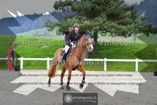 ref. photo 3564054
