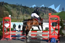 ref. photo 3564080