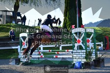 ref. photo 3564082