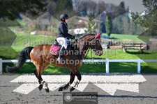 ref. photo 3564088