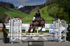 ref. photo 3564091
