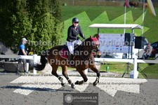 ref. photo 3564093