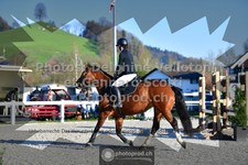 ref. photo 3564099