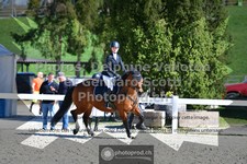 ref. photo 3564102