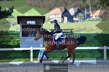 ref. photo 3564112